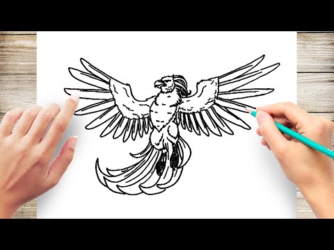 How to Draw A Realistic Phoenix