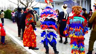 Obiceiuri si traditii Letcani - 31 decembrie 2016