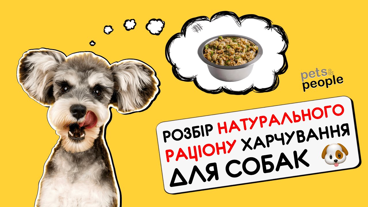 YouTube video preview