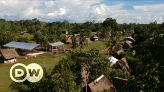 Deforestation in Peru and other world stories