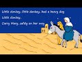 Little Donkey