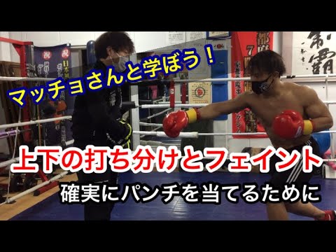 上下の打ち分けとフェイント（確実にパンチを当てるために）