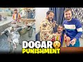 Finally Dogar Is Back With Saying Yes Revenge Time