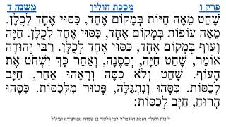 מסכת חולין פרק ו משנה ד