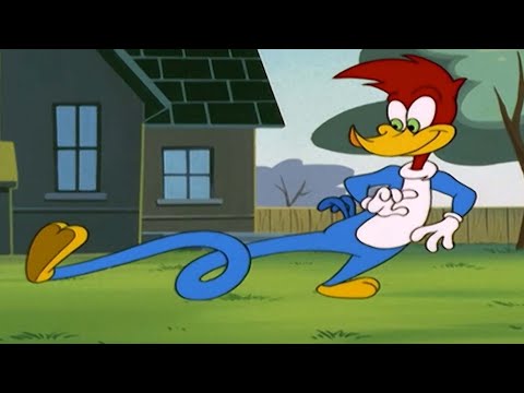 El Pájaro Loco | Súper carpintero | 1 Hora de Episodios Completos