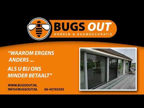Bugsout