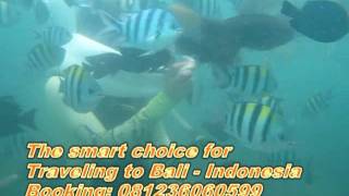 preview picture of video 'Bali Ocean Walker Nusa Dua Bali.mpg'