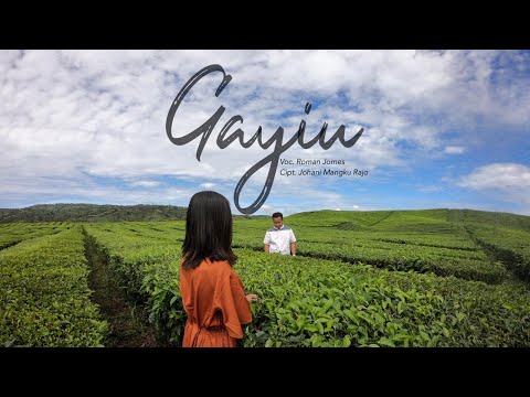 ROMAN JOMES | LAGU KERINCI SUNGAI PENUH - GAYIU | Cipt, Johani Mangku Rajo