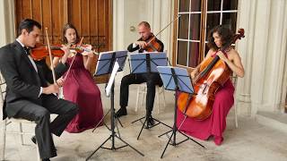 Many of Horror - String Quartet - GIARDINO STRINGS
