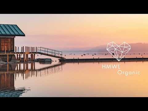 Ampermut, Gobi Desert Collective - Cereza (Seba Campos Remix) [Organic House 2025/WAYU Records]