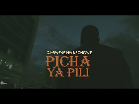 Thumbnail for Picha ya Pili video