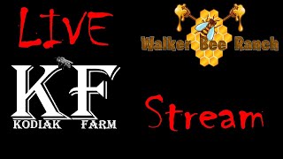 TNL "Tuesday Night LIVE" 4-16-24 | Kodiak Farm Bees