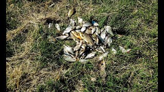 Рыбалка в мае на астрахани