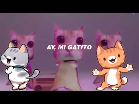 tiktok ay mi gatito miau miau cancion meme gatitos bailando remix