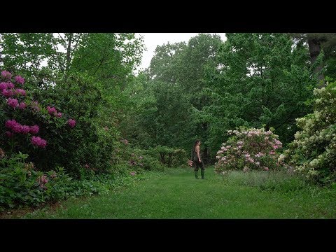 download lagu mp3 mp4 Planting Fields, download lagu Planting Fields gratis, unduh video klip Planting Fields