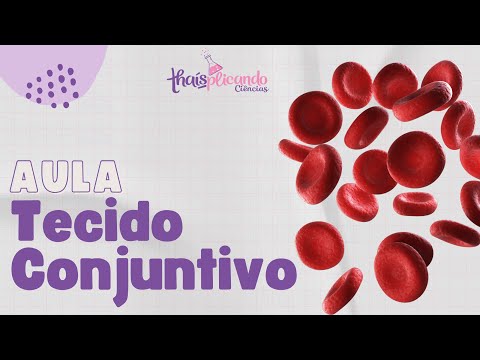 Tecido Conjuntivo (Ensino Fundamental 2)