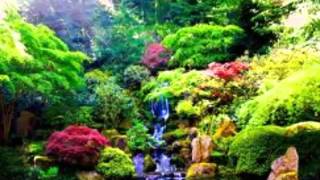 MIDGE URE - JUST FOR YOU