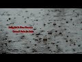 Qatra Qatra Jee Rha Hon Status Song