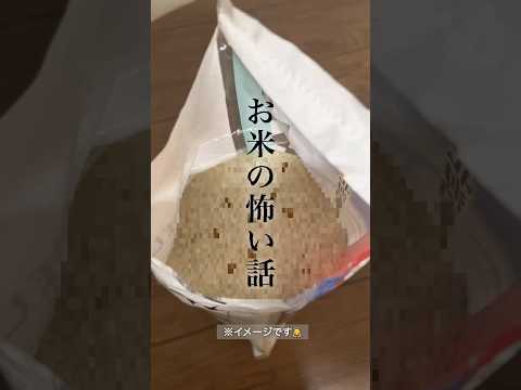 お米に虫😱絶対NGなお米の保存方法&hellip;冷蔵庫に入るコンパクト米びつで解決！