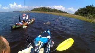 preview picture of video 'Kayak Fishing in Yankeetown Florida'