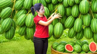 Download lagu Harvesting 1000  Sweet Watermelon Goes To Market Sell, Pick Wild Pineapple | Ella New Life mp3 Download lagu Harvesting 1000  Sweet Watermelon Goes To Market Sell, Pick Wild Pineapple | Ella New Life mp3