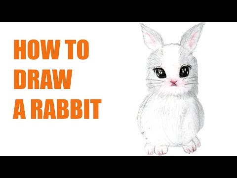 HOW TO DRAW A RABBIT