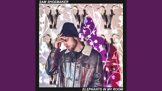 Elephants In My Room