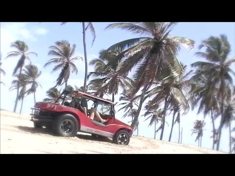 MELLOW YELLOW DAFFODIL - A Letter