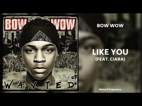 Bow Wow ft. Ciara - Like You (432Hz)