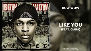 Bow Wow ft. Ciara - Like You (432Hz)