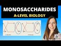 Monomers Polymers And Monosaccharides A Level Biology Biological Molecules Topic