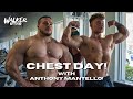 Nick Walker | EPIC CHEST DAY WITH ANTHONY MANTELLO! | FULL OFFSEASON MODE!