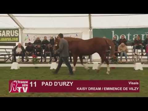 Pad D'urzy - Etalon Show du Centre Est 2015