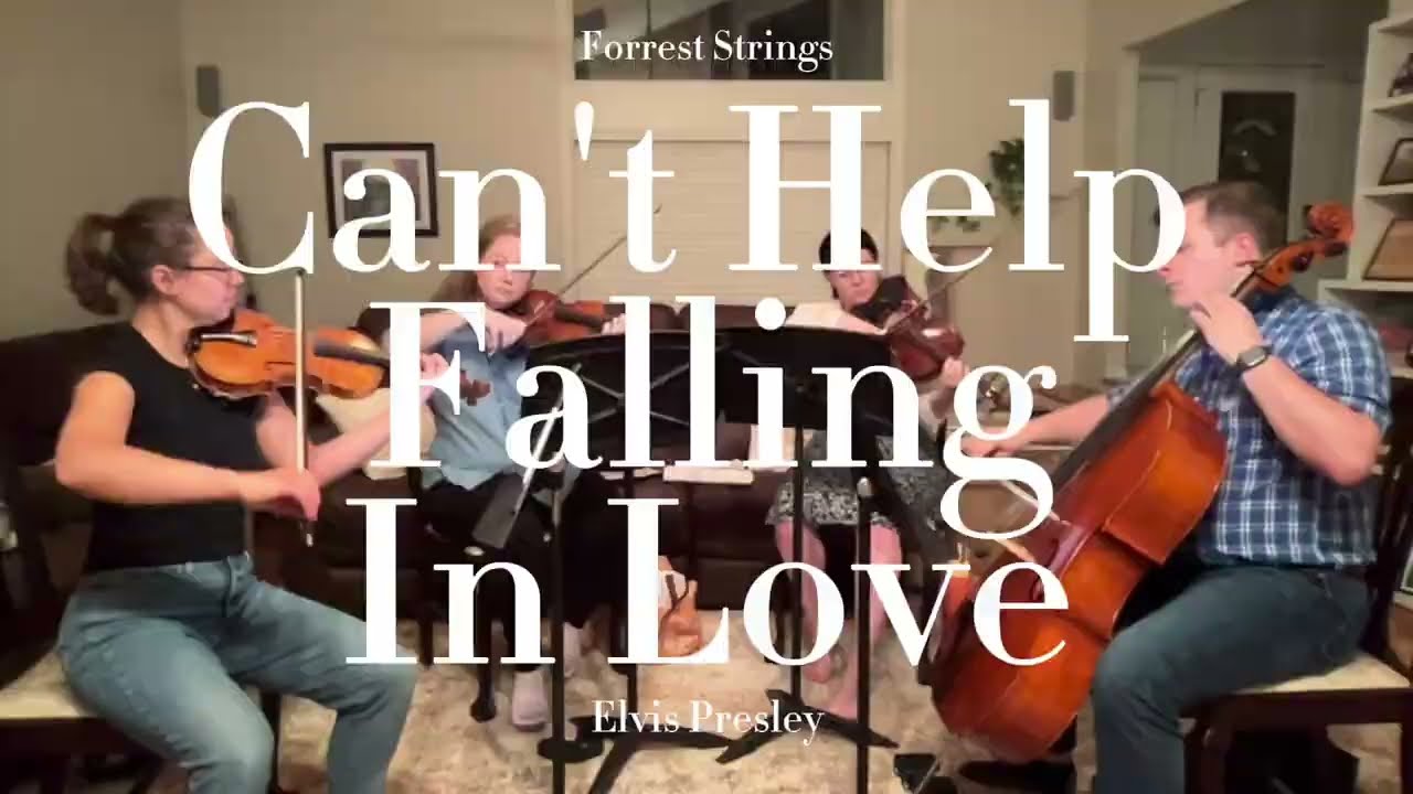Promotional video thumbnail 2 for Forrest Strings