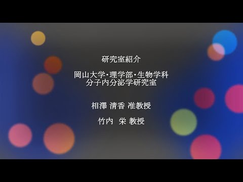 理学部生物学科分子内分泌学研究室研究紹介