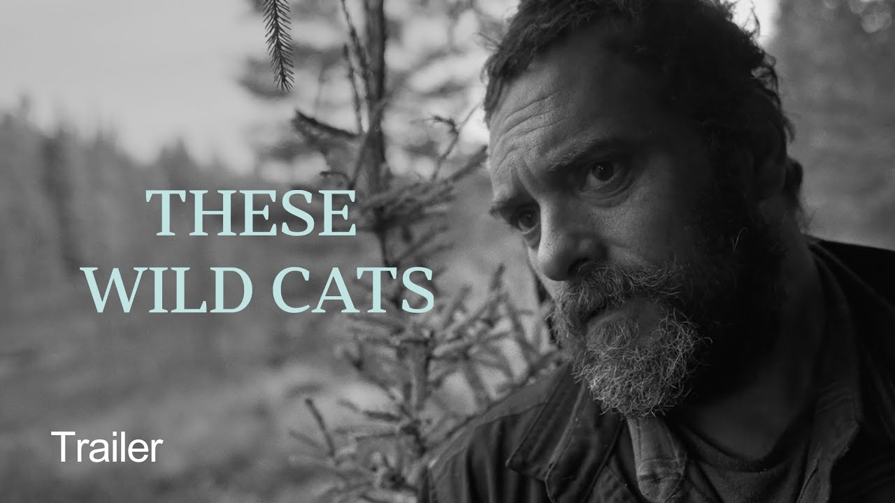 These Wild Cats | Trailer