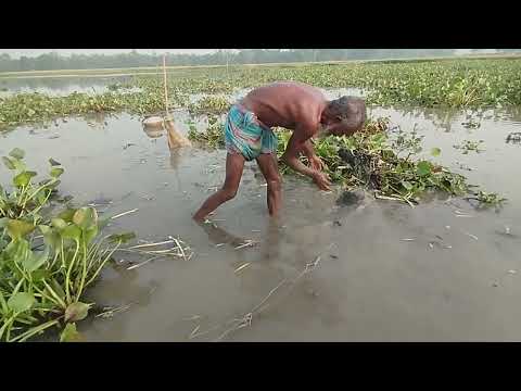Taki fishing with a net -Best Fishing Video 2024 -Most Satisfying Cast Net Fishing Video