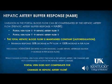Hepatology Anesthesia Keyword Review - (Dr. Rebel)