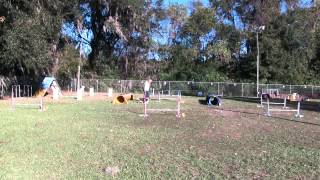 Daisy week 3 sequence 2