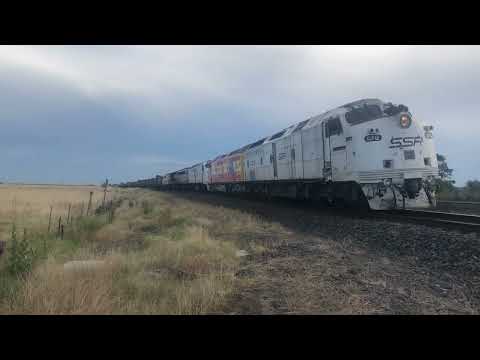 SPECIAL SSR GRAIN (CLP12, CLP9, CLF3, S311, C501, GM27) CLP9 First time on a Freight run