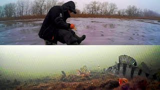 Зимняя рыбалка.вид из подо льда