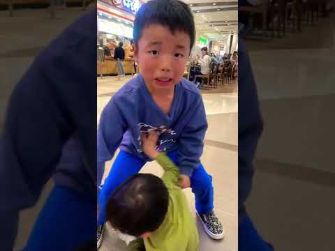 園芸 赤ちゃんの涙、天使の涙、赤ちゃんの足の指