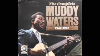 Muddy Waters  you shook me alternate take cd9