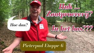 Pieterpad Etappe 6 - Zout(e)loos Schoonloo #16