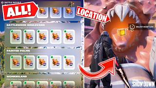 Find Chaos Cubes in or around Painted Palms (All 5 Locations) | Fortnite Path Of The Voyager Quests