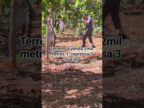 terreno#três marias#morada nova de minas