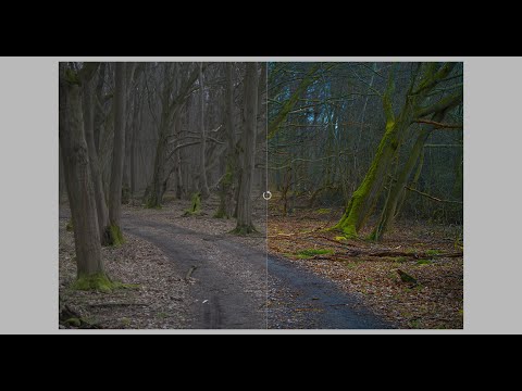 Editing moments with darktable. Episode 28: quick edits (playing with channel mixer)