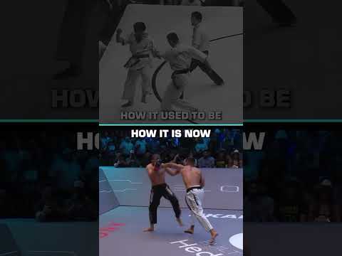 Leading the Charge Understanding What It Takes to Succeed in Combat Sports