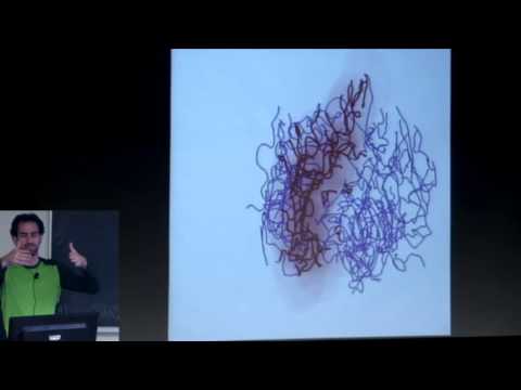 Ezra Miller: How do quivers and stratifications apply to biology?