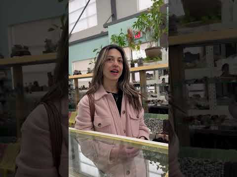 In-Store Visit video thumbnail